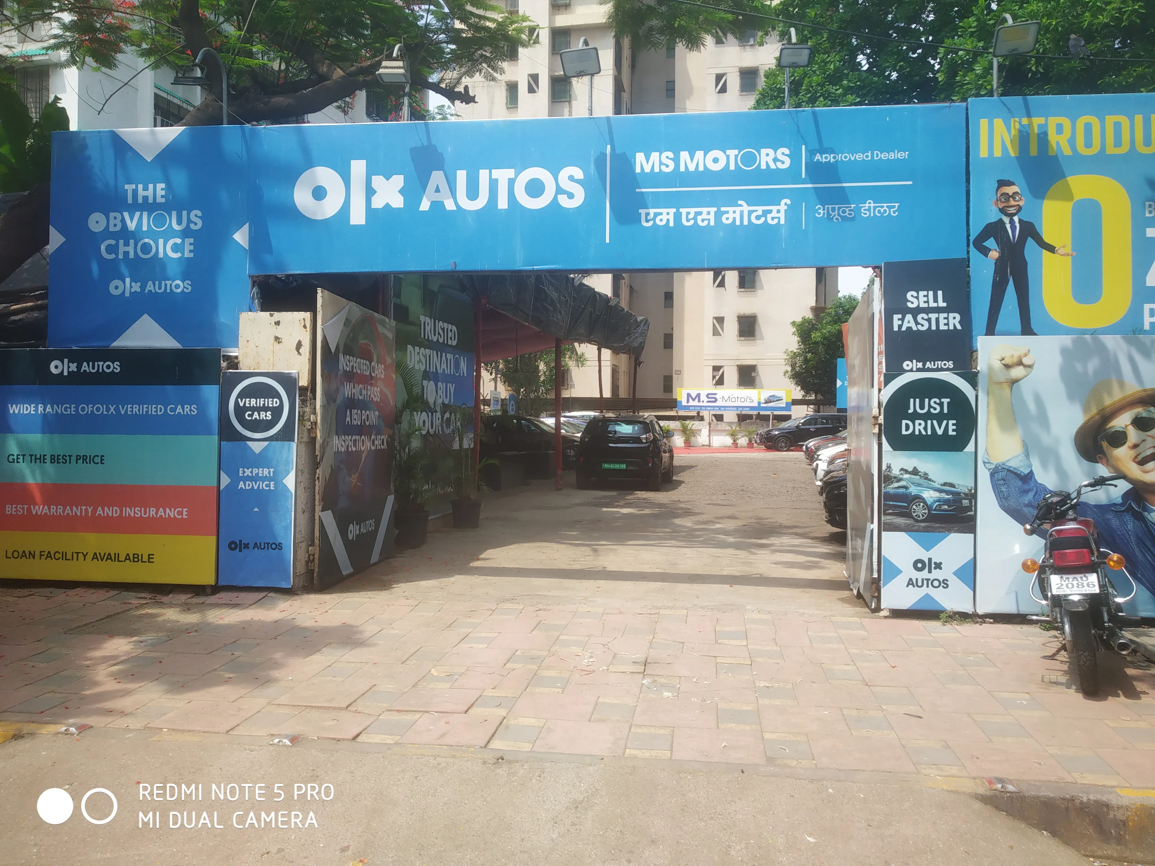 Ms Trading Company image