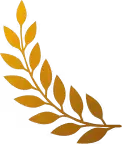 hero left icon