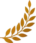 hero right icon