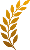 hero left icon